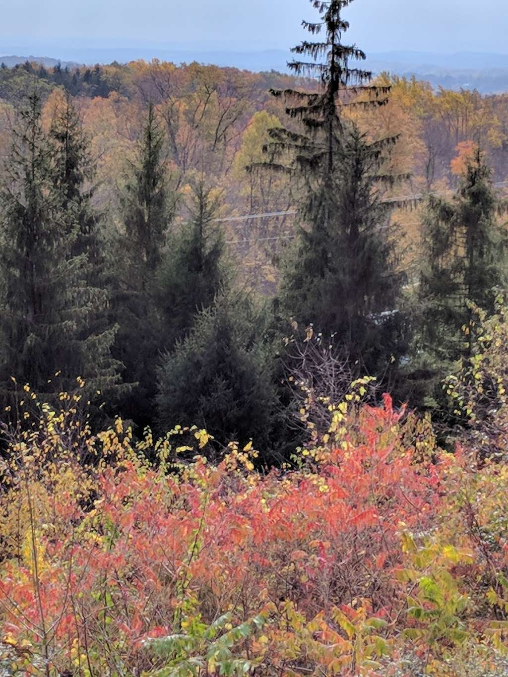 Appalachian Trail - Fox Gap | Appalachian Trail, Bangor, PA 18013