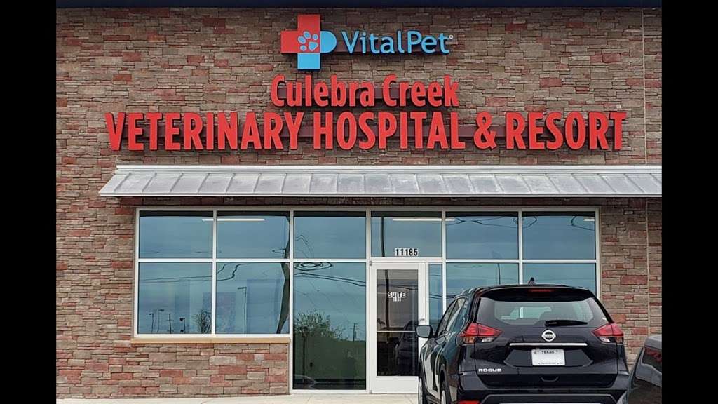 VitalPet - Culebra Creek Veterinary Hospital | 11185 Westwood Loop #100, San Antonio, TX 78253, USA | Phone: (210) 509-8444