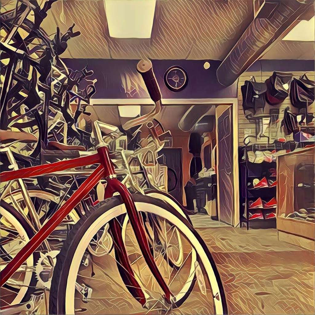 Small Shop Cycles & Service | 4250 S Cottage Grove Ave, Chicago, IL 60653, United States | Phone: (773) 688-8449