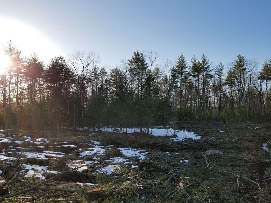 Cider Mill Pond Trailhead | 03033, Brookline, NH 03033, USA