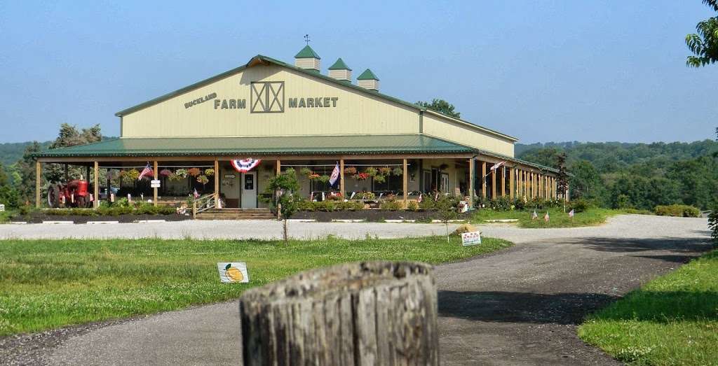 Buckland Farm Market | 2318, 4484 Lee Hwy, Warrenton, VA 20187, USA | Phone: (540) 341-4739