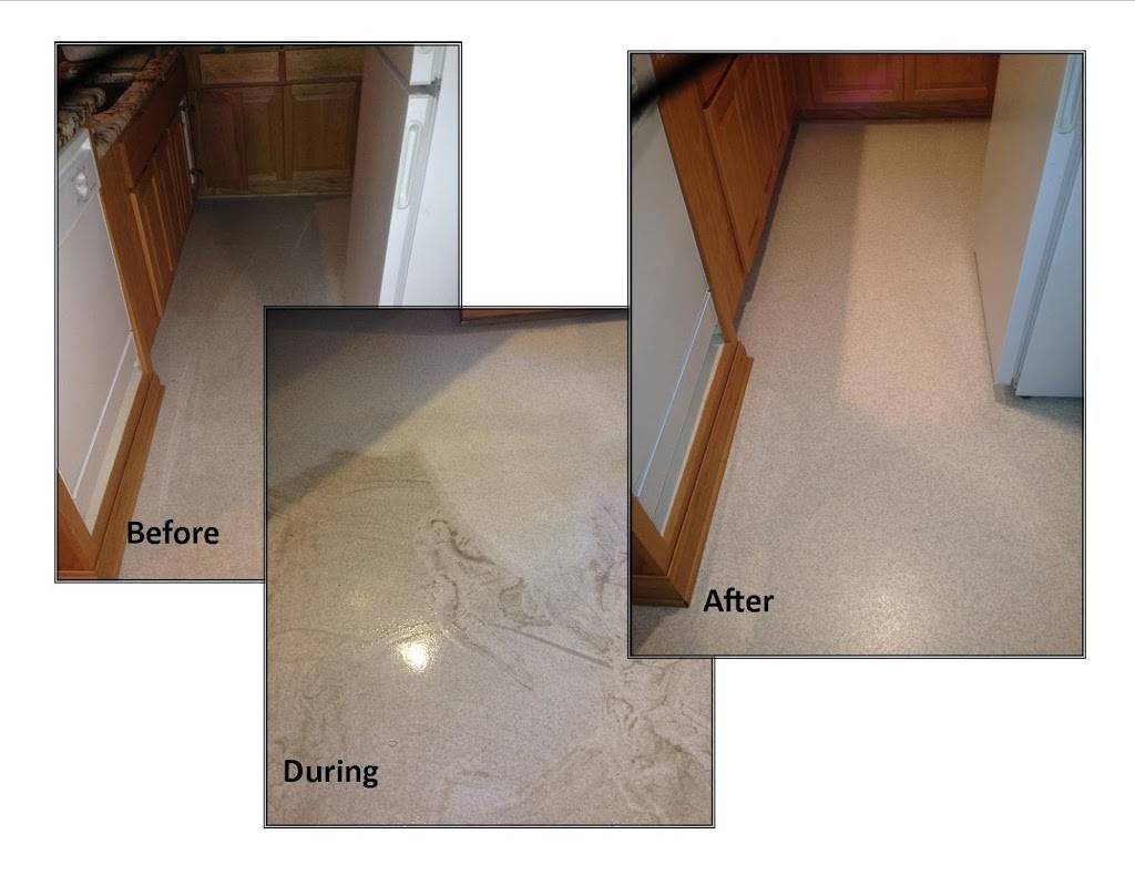 Bluegreen Carpet And Tile Cleaning | 2421 S Stoughton Rd #1, Madison, WI 53716, USA | Phone: (608) 478-3007