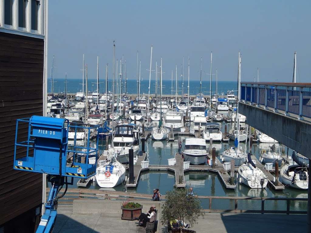 The San Francisco Sailing Company | Pier 39, Beach St, San Francisco, CA 94133, USA | Phone: (415) 378-4887