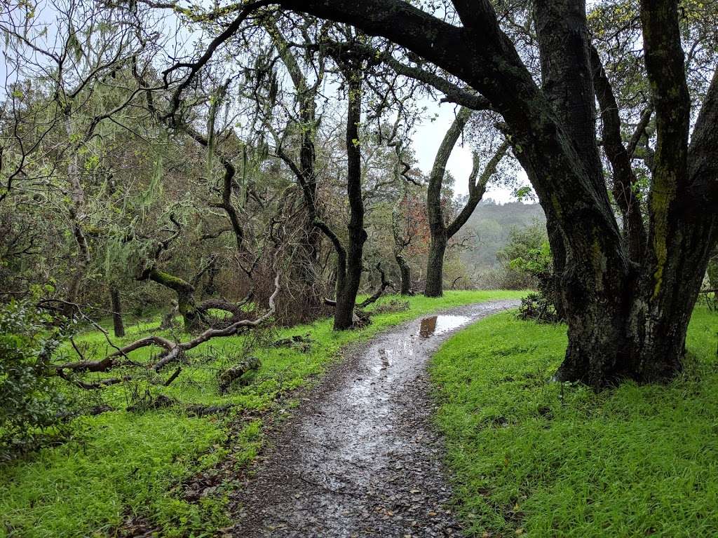 Arastradero Preserve Loop Vista Point | Arastradero Creek Trail, Palo Alto, CA 94304, USA | Phone: (650) 329-2423