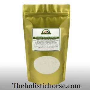 The Holistic Horse | 372 E Yale Loop, Irvine, CA 92614, USA | Phone: (877) 774-0594