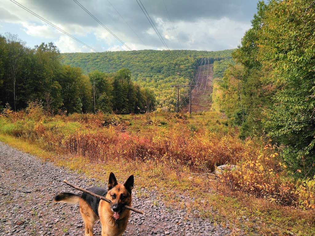 state game lands 260 parking | 1286 Shickshinny Valley Rd, Shickshinny, PA 18655, USA