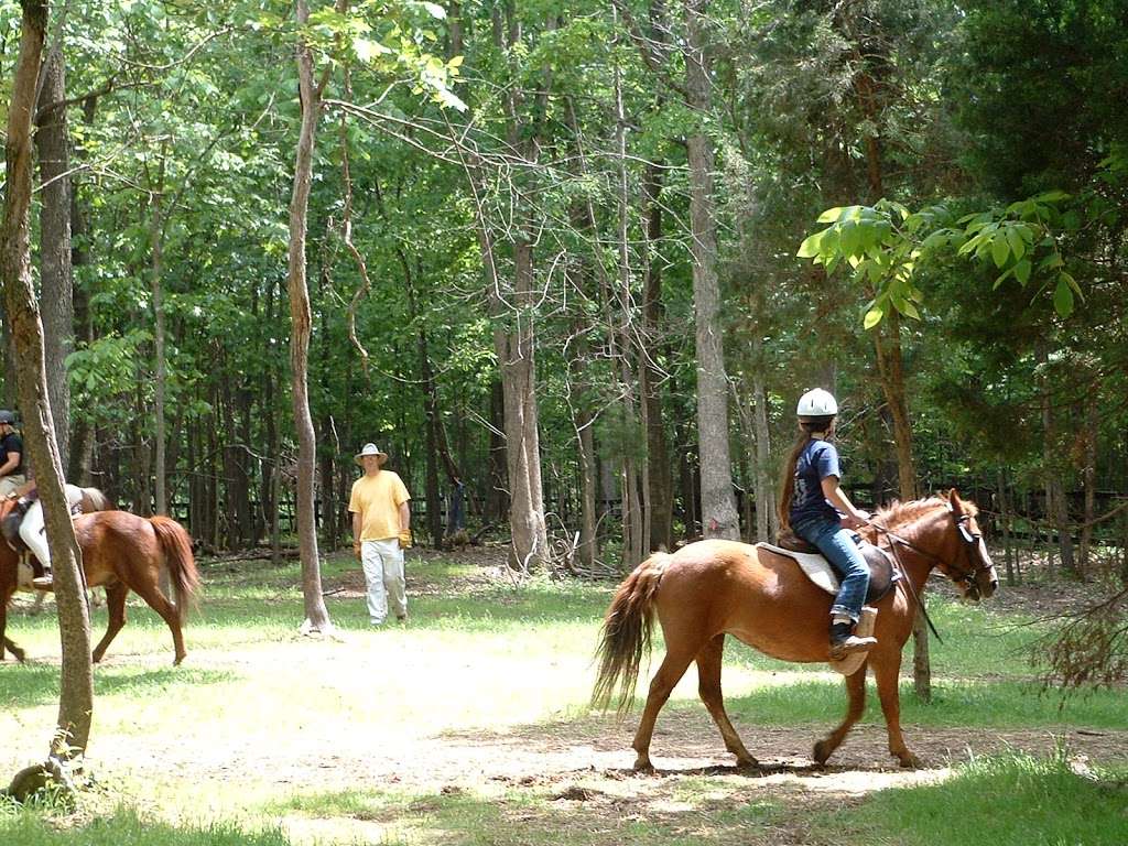 Mulford Riding School | 15105 Lee Hwy, Centreville, VA 20121, USA | Phone: (703) 946-7595