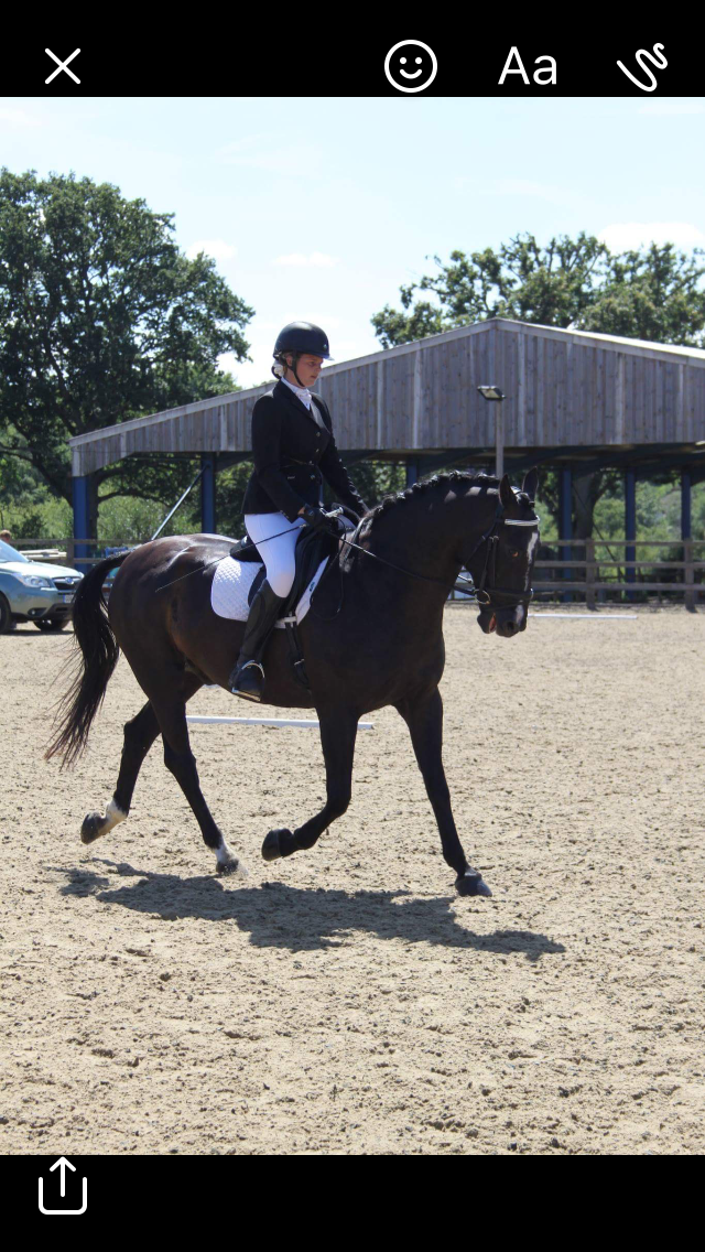 Little Dunks Livery Yard | Cuckoo Ln, Brenchley, Tonbridge TN12 7HX, UK | Phone: 07966 172422