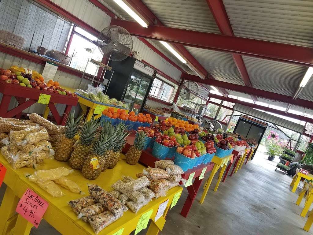 Batys Fruitstand & PalmTree Nursery | 4821 FM 521 Rd, Arcola, TX 77583 | Phone: (281) 431-9150