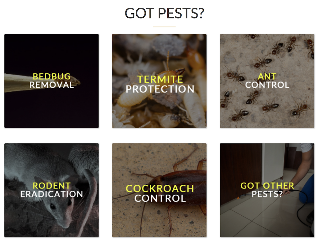 YES Pest Pros | 4635 Progress Dr Suite B, Columbus, IN 47201, USA | Phone: (812) 376-7575