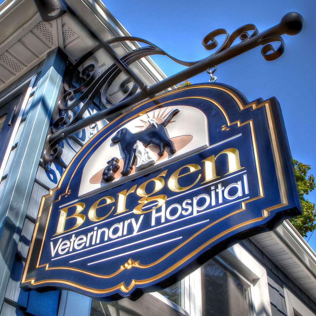 Bergen Veterinary Hospital | 1680 Teaneck Rd, Teaneck, NJ 07666, USA | Phone: (201) 837-3470