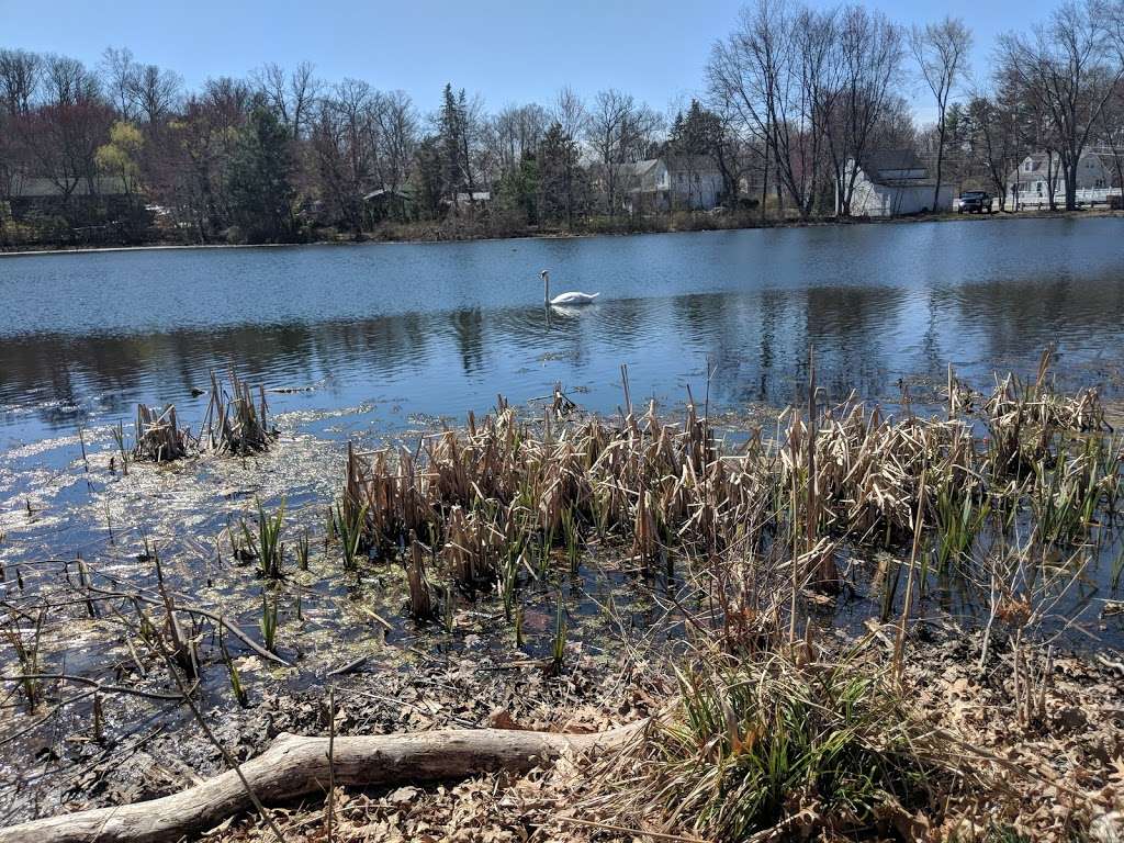 Bogue Pond Park | 17 Sandra Ln, Bloomingdale, NJ 07403