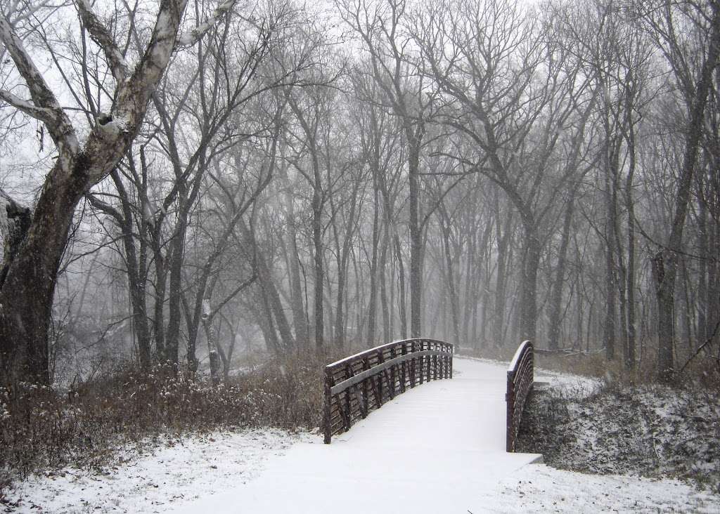 Kill Creek Streamway Dog Park | 33460 W 95th St, De Soto, KS 66018, USA
