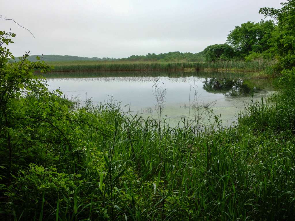 Appalachian Trail | Gemmer Rd, Wantage, NJ 07461, USA