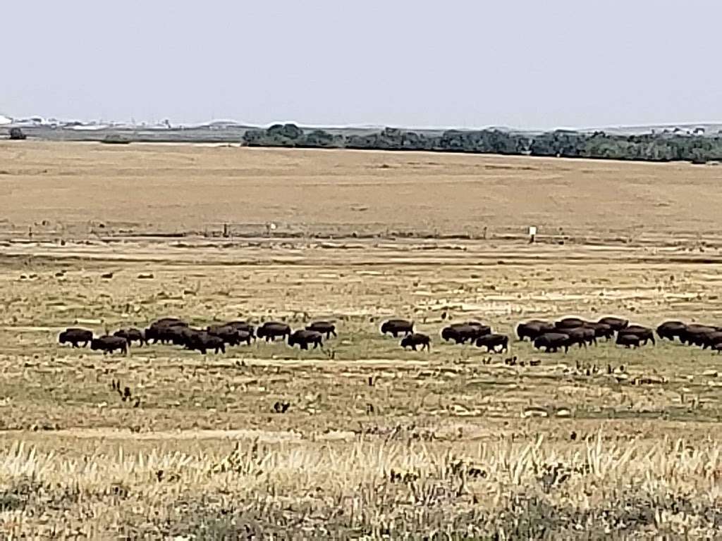 Rocky Mountain Arsenal National Wildlife Refuge | 6550 Gateway Rd, Commerce City, CO 80022 | Phone: (303) 289-0930