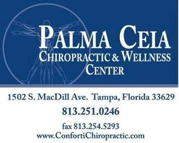 Palma Ceia Chiropractic and Wellness Center | 1502 S MacDill Ave, Tampa, FL 33629, USA | Phone: (813) 251-0246