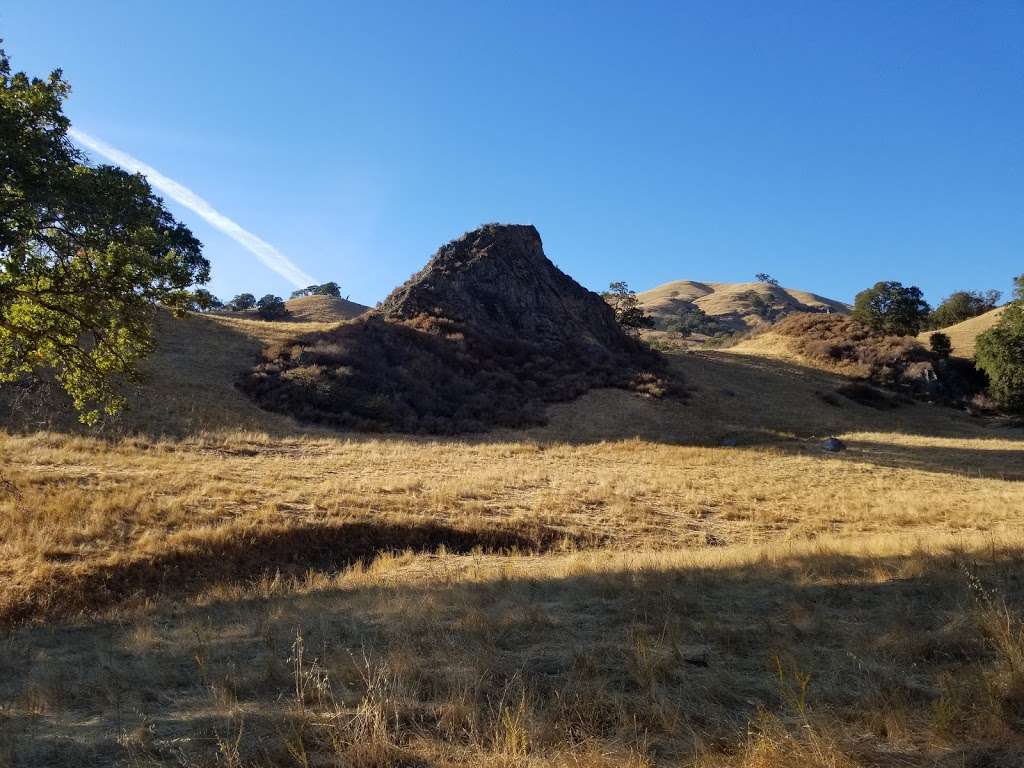 Oak View Backpack Camp | Sunol, CA 94586, USA