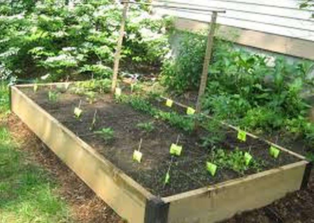 Grow Organic Vegetable Gardening | 5880 Fair Isle Dr, Riverside, CA 92507, USA | Phone: (951) 217-4804