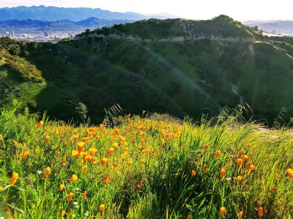 Griffith Park Trails | 2715 N Vermont Canyon Rd, Los Angeles, CA 90027, USA