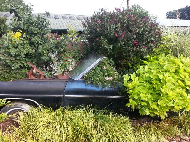 Southern Roots Garden Center | 505 Belmont Mt Holly Rd, Belmont, NC 28012, USA | Phone: (704) 827-0446