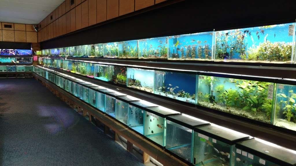 Aquatics Unlimited | 3550 S 108th St, Greenfield, WI 53228, USA | Phone: (414) 543-2552