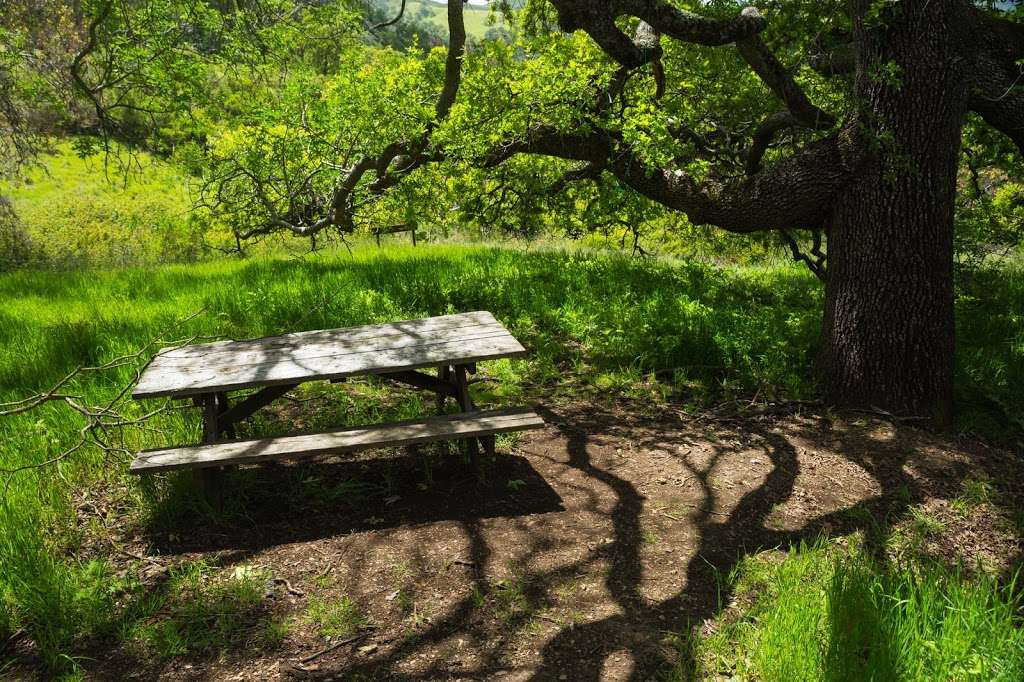 Sycamore Camp | Ohlone Wilderness Trail, Sunol, CA 94586, USA