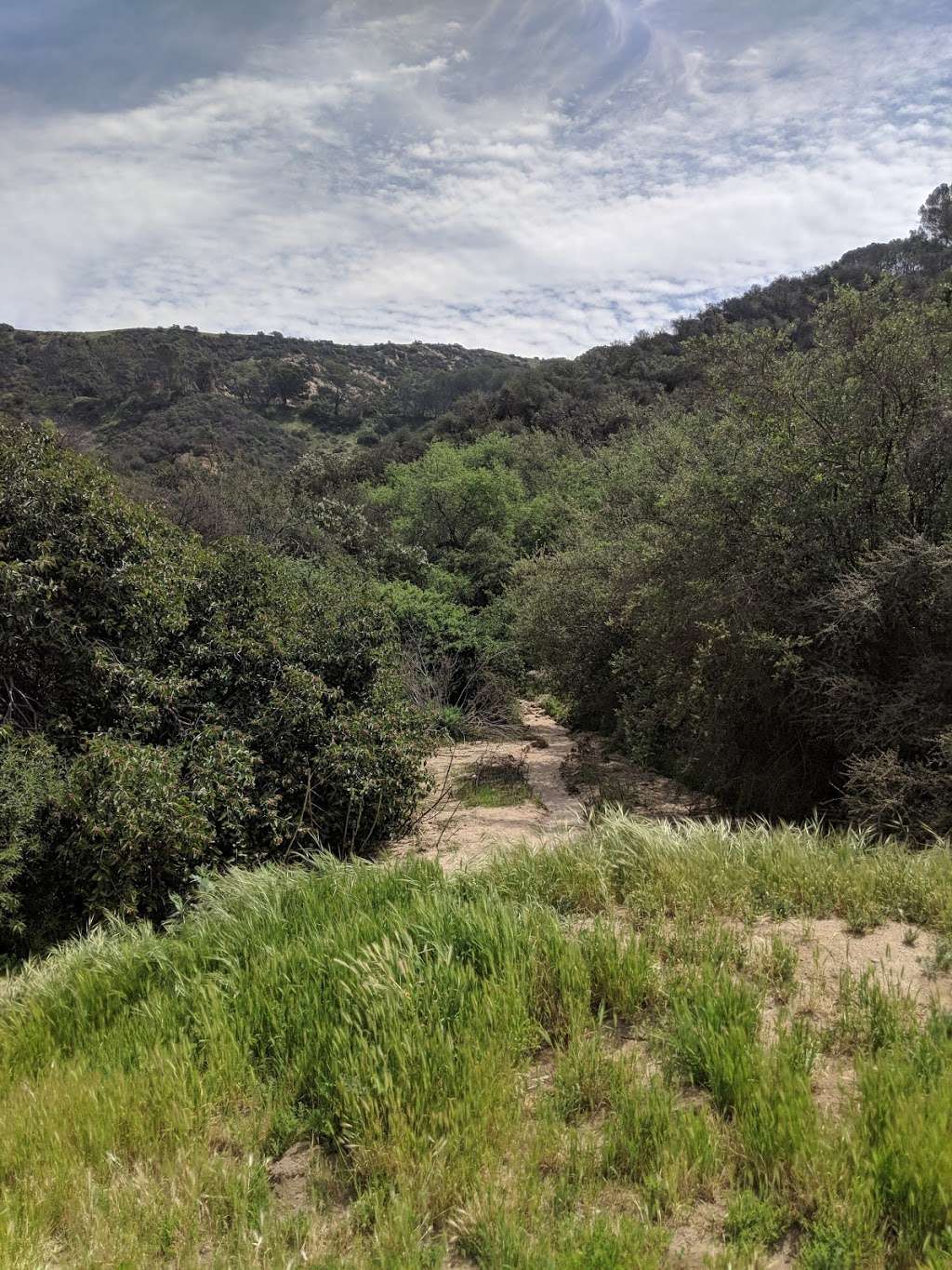 Hollywood Sign The Canyon Drive Trail | Canyon Dr, Los Angeles, CA 90068, USA | Phone: (213) 202-2700