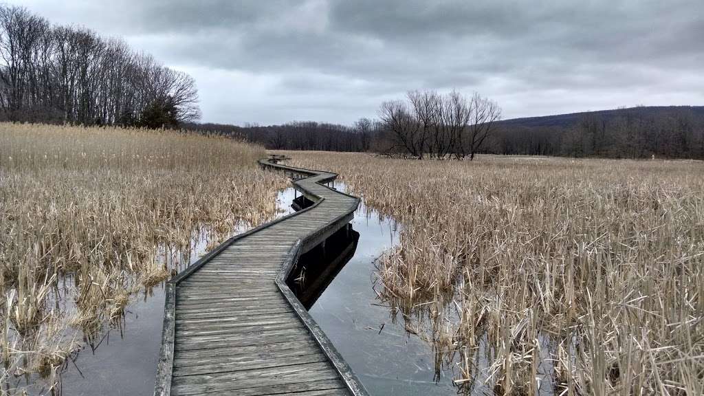 Appalachian Trail Boardwalk | Appalachian Trail, Glenwood, NJ 07418, USA