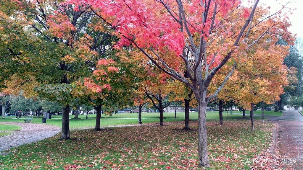 Medal of Honor Park | 775 E 1st St, Boston, MA 02127, USA | Phone: (617) 635-4505