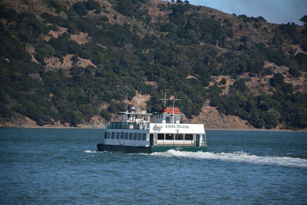 Tamalpais Charters | Berth 2, 21 Main St, Tiburon, CA 94920, USA | Phone: (415) 789-6082