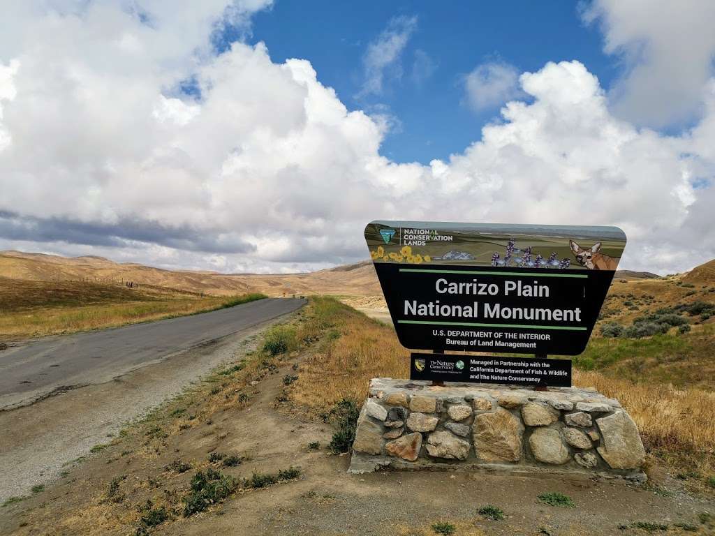 Carrizo Plain National Monument | Soda Lake Rd, Maricopa, CA 93252, USA