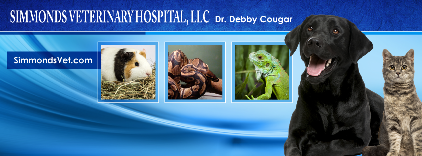 Simmonds Veterinary Hospital LLC | 1645 Hausman Rd, Allentown, PA 18104, USA | Phone: (610) 351-8036