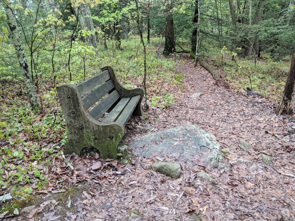 Tannersville Cranberry Bog Preserve | East Stroudsburg, PA 18301, USA | Phone: (703) 841-5300