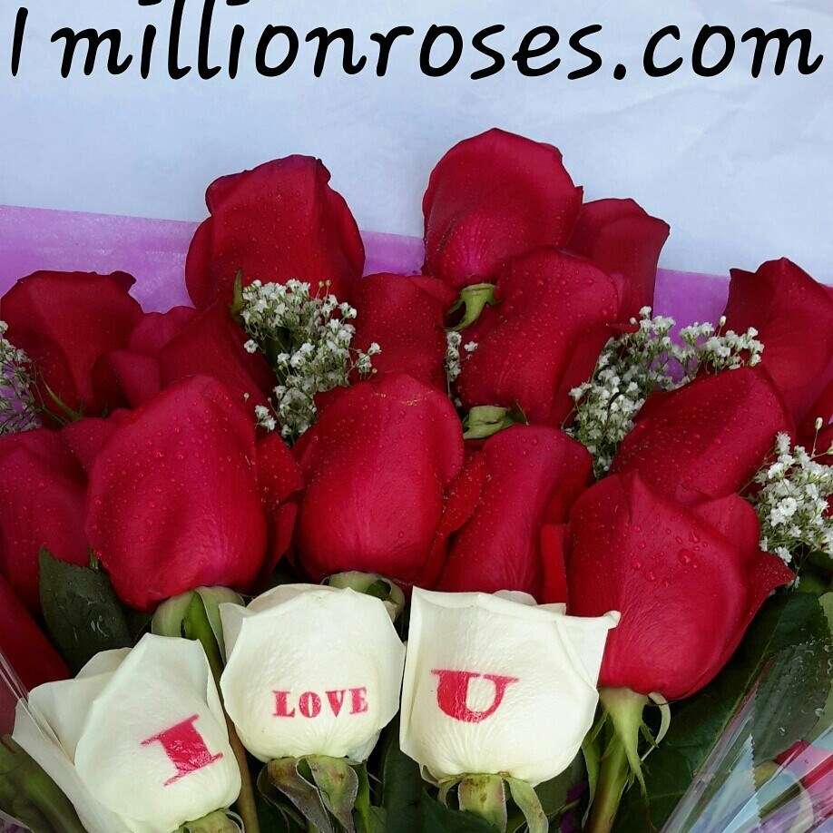 1millionroses.com | 2540 N Jerusalem Rd, North Bellmore, NY 11710, USA | Phone: (516) 668-2756