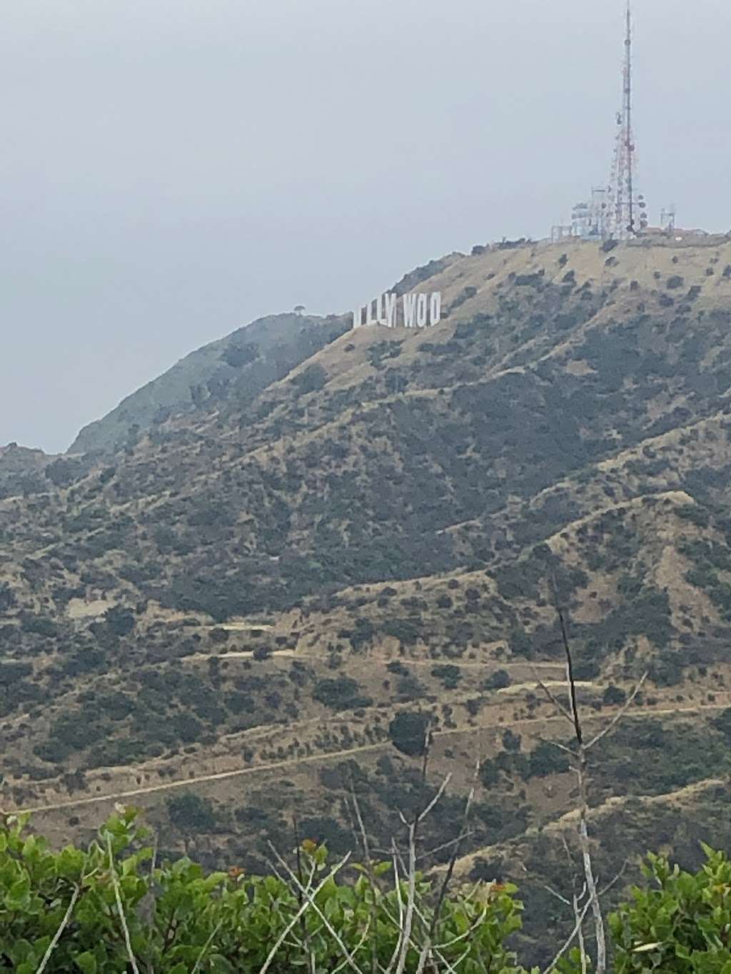 Griffith Park Trails | 2715 N Vermont Canyon Rd, Los Angeles, CA 90027, USA