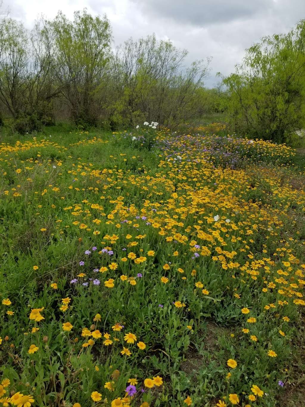 Medina River Natural Area | 15890 TX-16, San Antonio, TX 78264, USA | Phone: (210) 207-7275