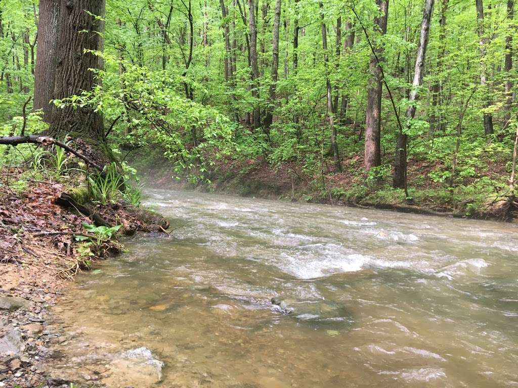 Fishing Creek Scalpy Hollow Nature Preserve | Scalpy Hollow Rd, Holtwood, PA 17532 | Phone: (717) 392-7891