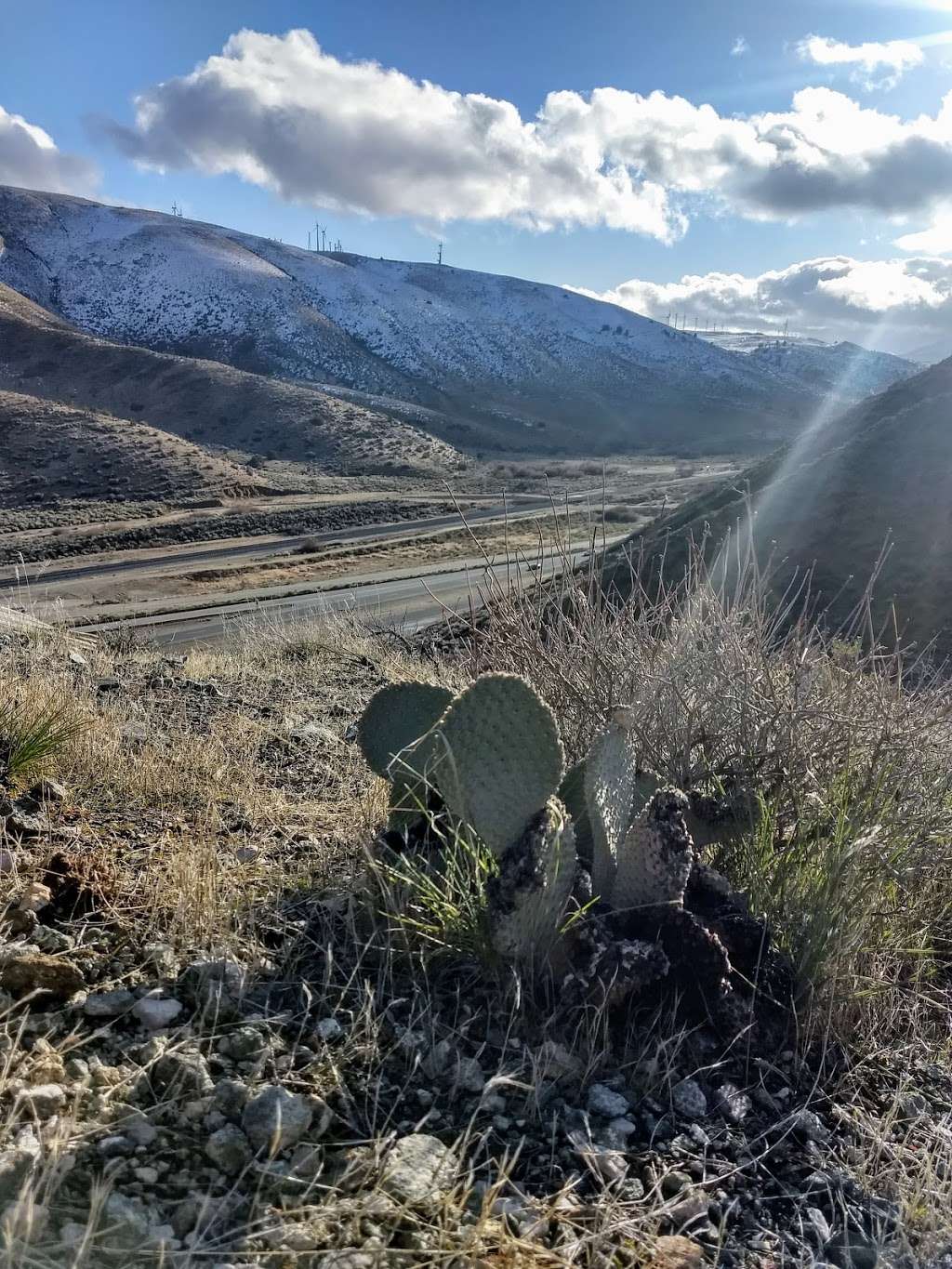 Cameron Canyon Rd. at Hwy. 58 | California 93501