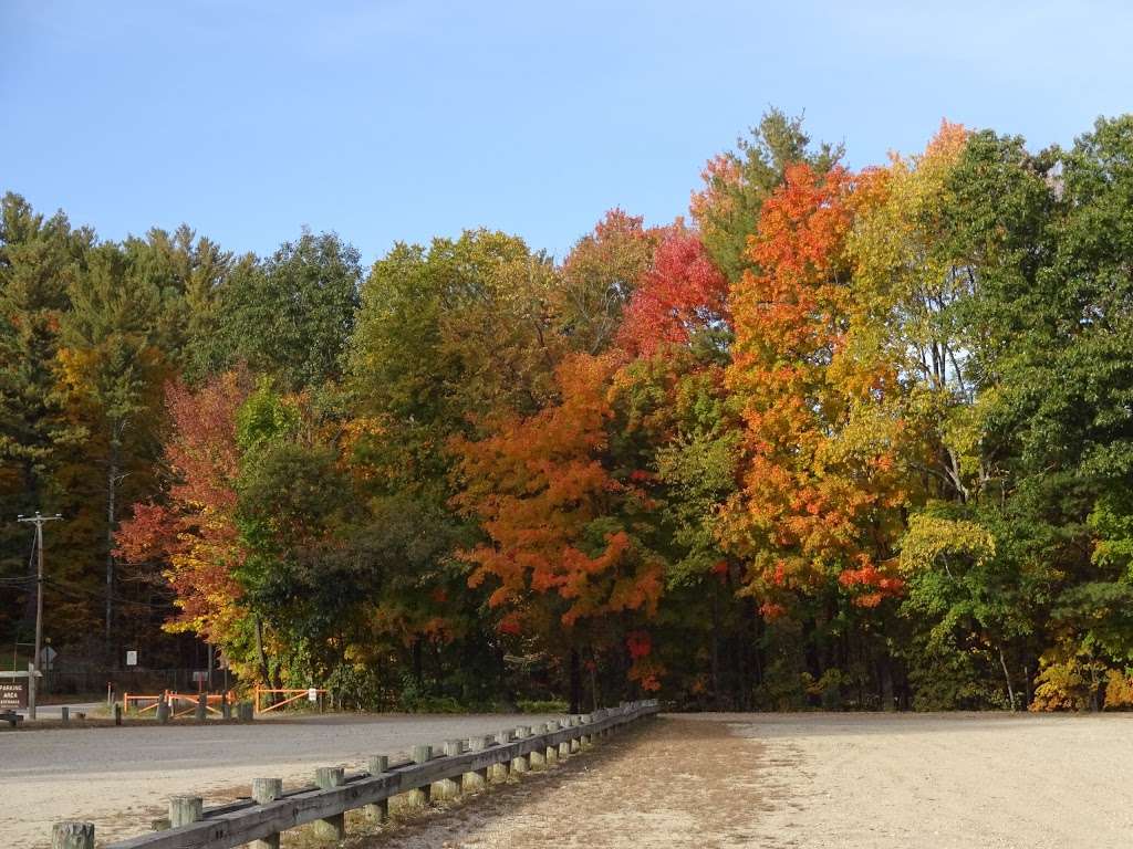 Spalding Park Town Forest | Hollis, NH 03049, USA