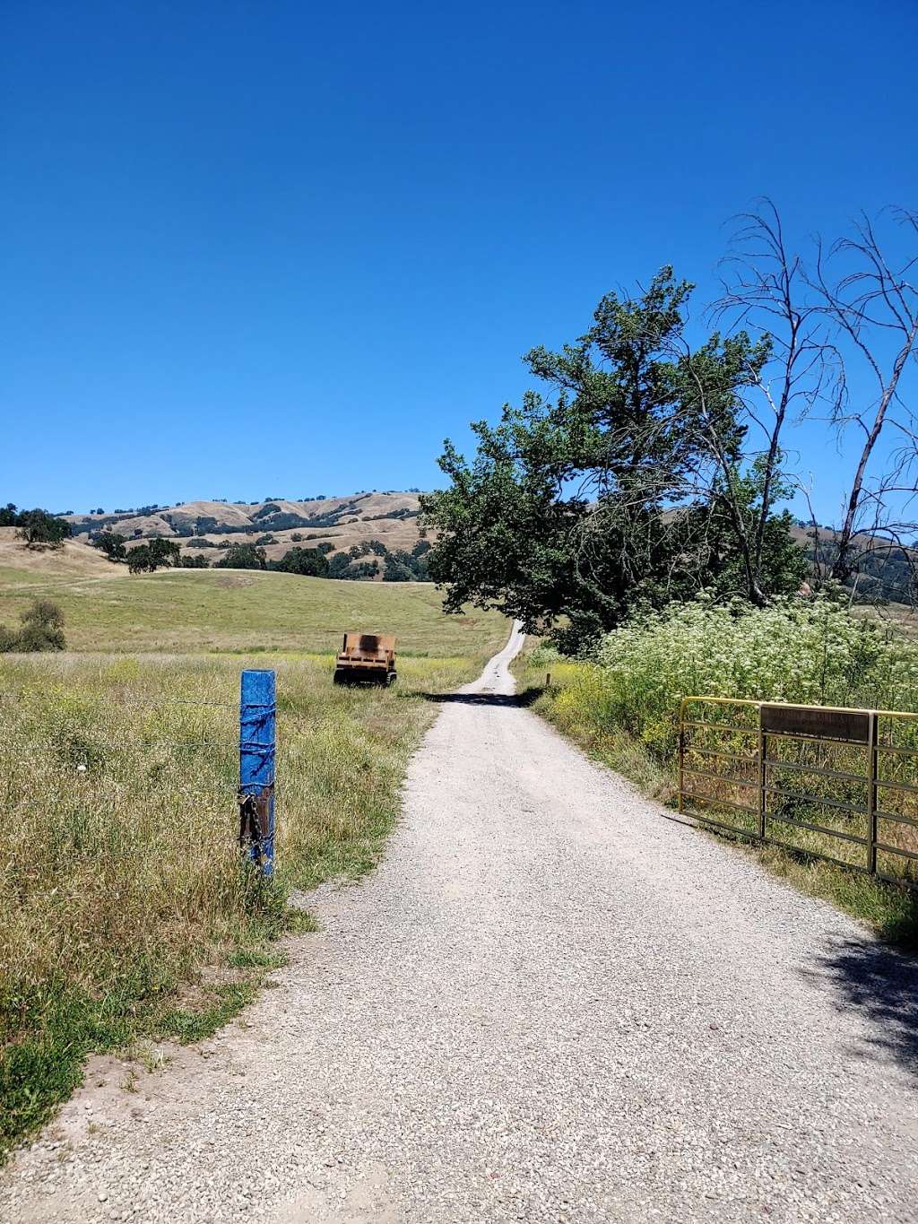 Blue Oak Ranch Reserve | 16070 Mt Hamilton Rd, Mt Hamilton, CA 95140, USA | Phone: (307) 760-8031