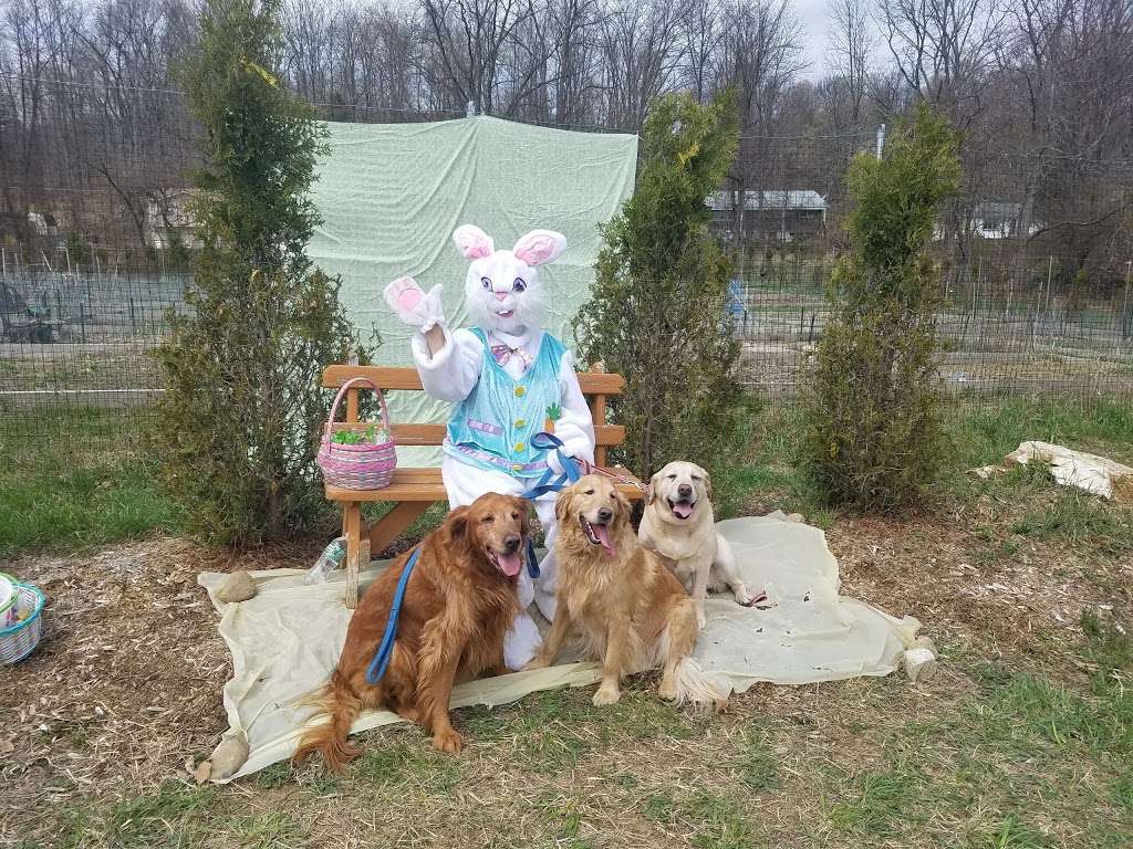 Vernon Dog Park | County Rd 517, Vernon Township, NJ 07462, USA | Phone: (201) 230-3973