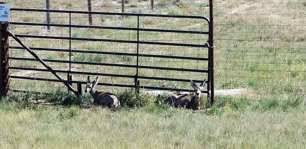 Rocky Mountain Arsenal National Wildlife Refuge Visitor Center | 6550 Gateway Rd, Commerce City, CO 80022, USA | Phone: (303) 289-0930