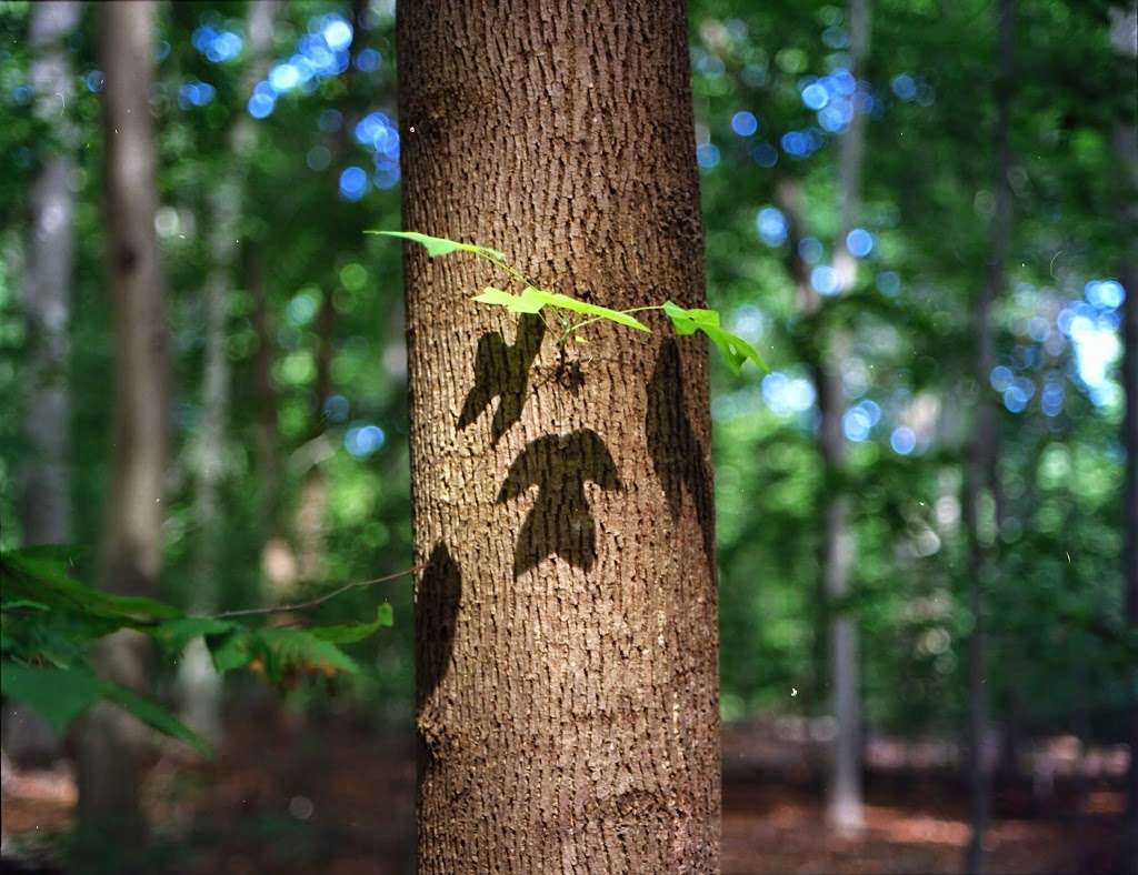 Five Mile Woods Preserve Headquarters | 1305 Big Oak Rd, Yardley, PA 19067, USA | Phone: (215) 493-6652