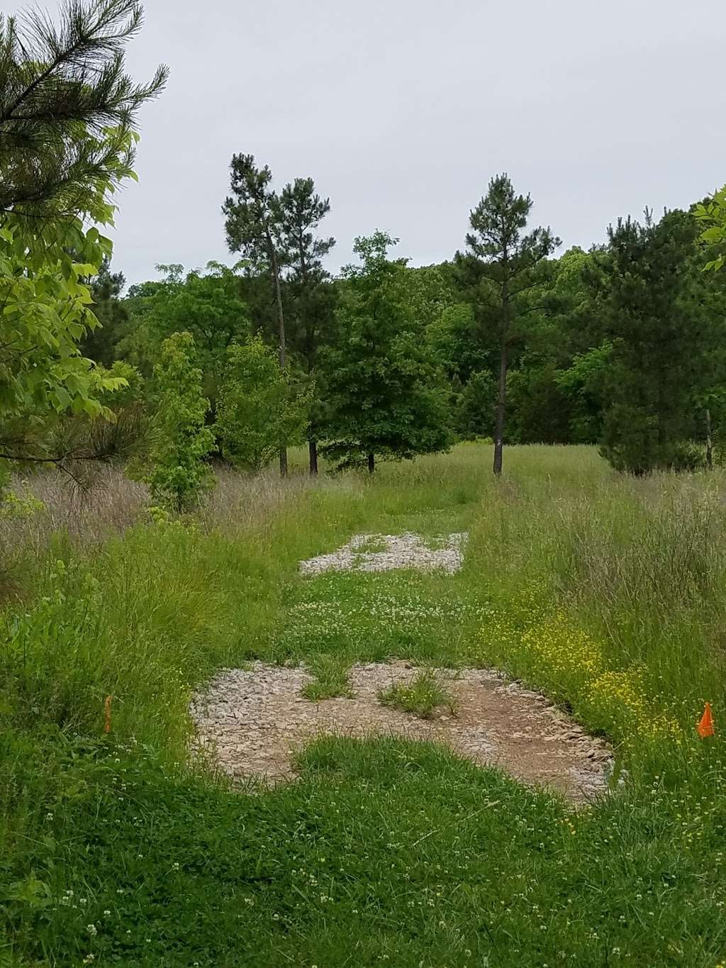 Accotink Bay Wildlife Refuge | Pohick Rd, Fort Belvoir, VA 22060, USA | Phone: (703) 806-0049