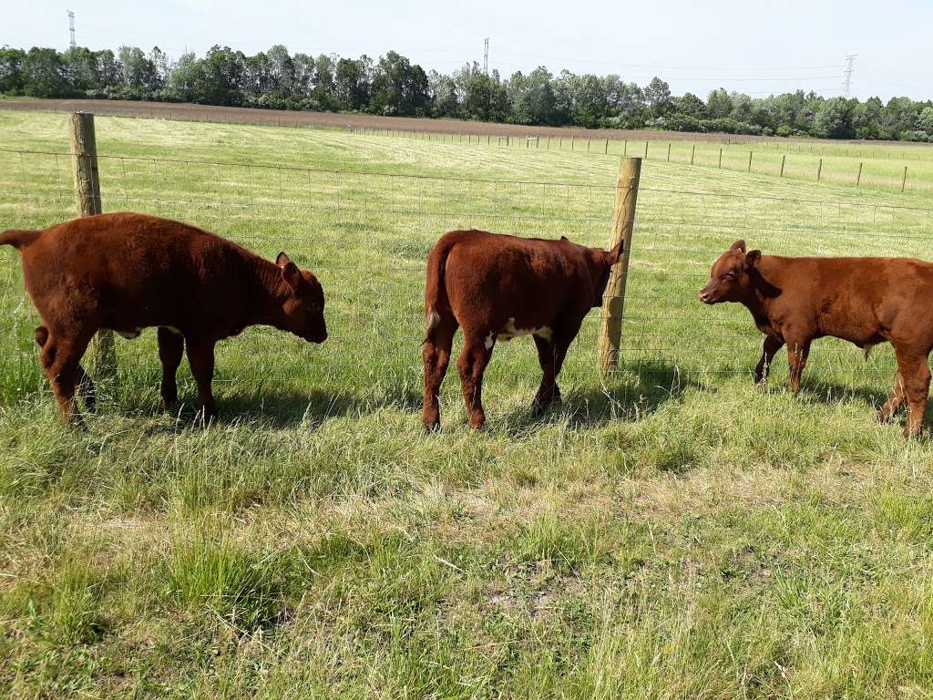 Kline Creek Farm living history museum | 1N600 County Farm Rd, West Chicago, IL 60185 | Phone: (630) 876-5900