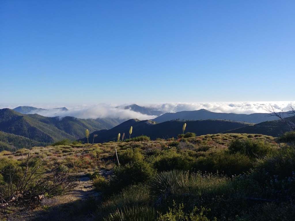 Messenger Flats Campground | Palmdale, CA 93550, USA