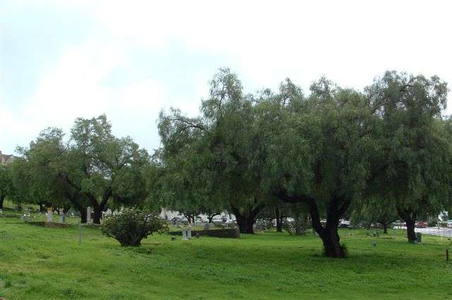 Odd Fellows Community Cemetery | Fallbrook, CA 92028, USA