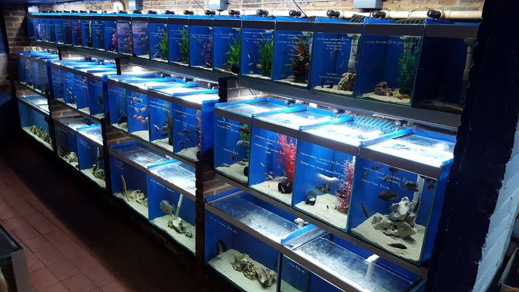 World of Fishes | World Of Fishes Eastbourne Road, A22, Felbridge, Lingfield RH7 6HL, UK | Phone: 01342 836633