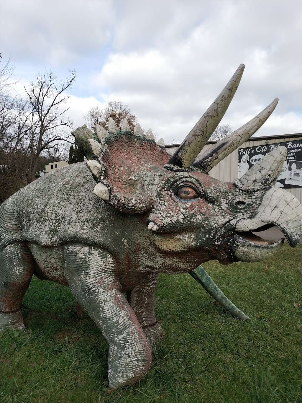 Bills Dinosaurs | Bloomsburg, PA 17815, USA