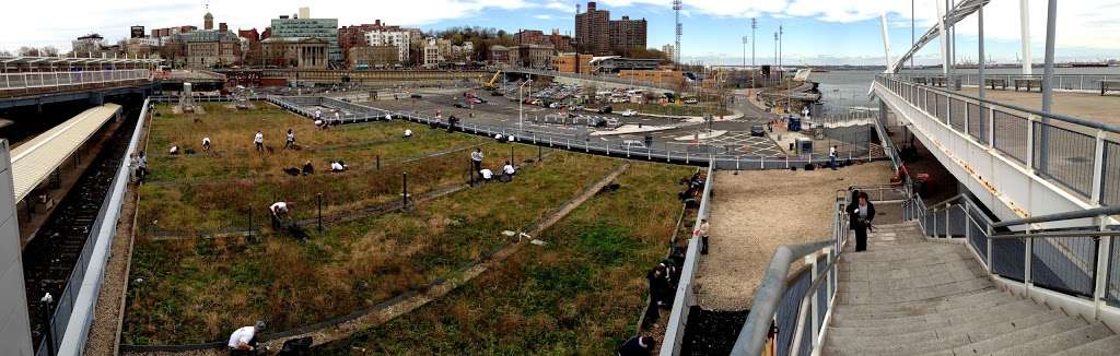 The Living Roof | 1 Ferry Terminal Viaduct, Staten Island, NY 10301, USA | Phone: (347) 915-4114